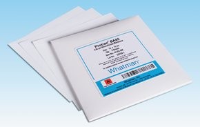 Plain 8µm Pore Size Pack of 100 25mm Diameter Circle Non-Sterile GE Whatman 10400106 Cellulose Nitrate Membrane 