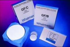 Whatman Grade GF 10 Glass Filter With Organic Binder, 90 mm Diameter Circle, 100 Pack, 10370305 